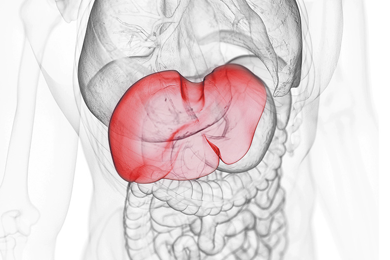 Advances in Quantitative Liver Ultrasound